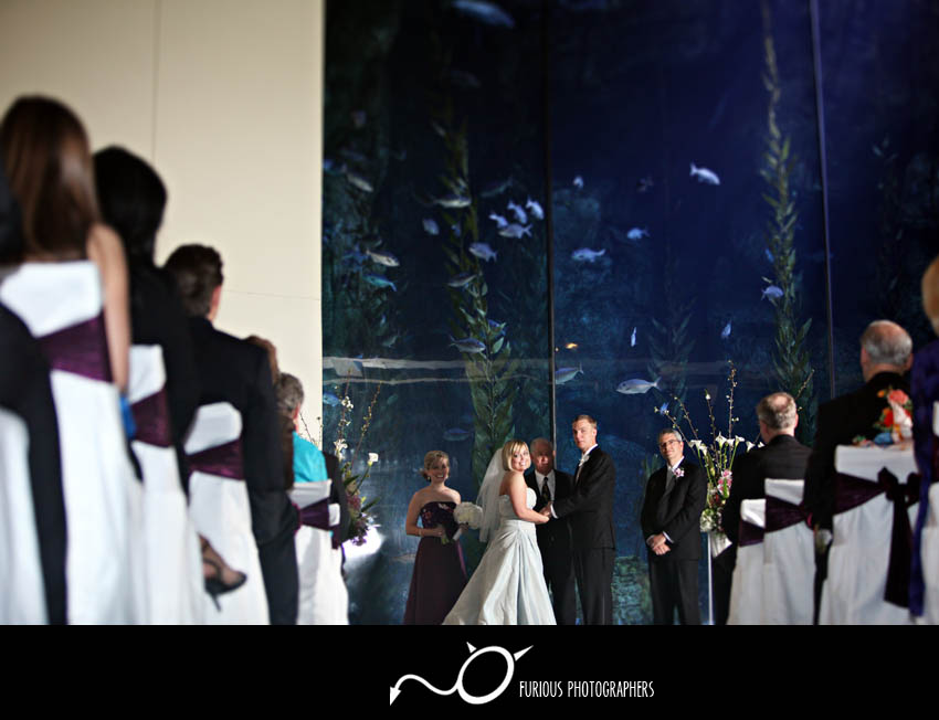 aquarium-of-the-pacific-long-beach-wedding-photography