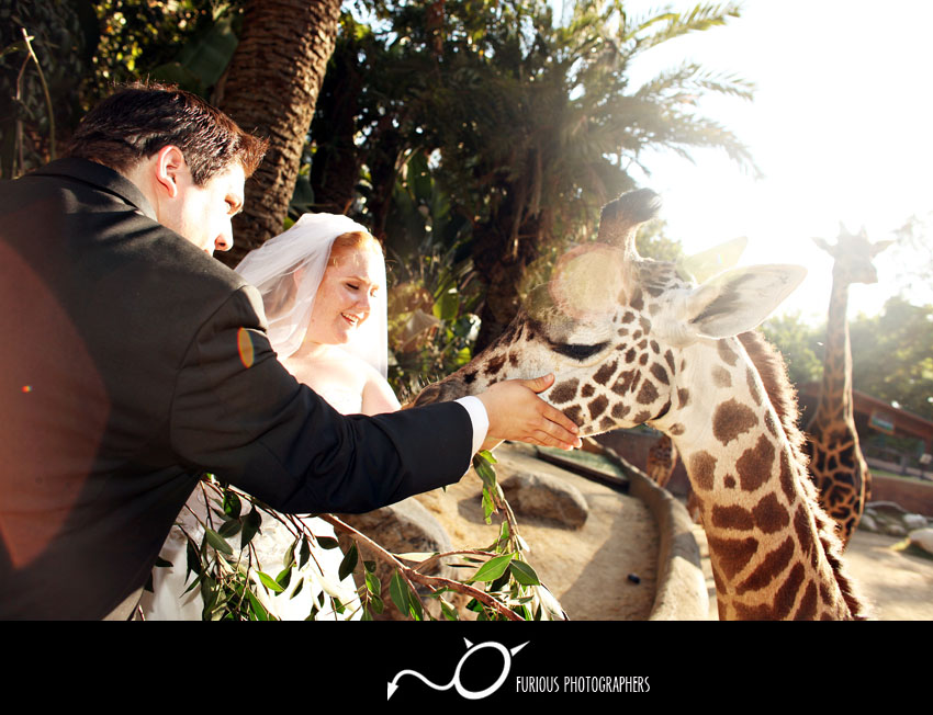 los-angeles-zoo-wedding-photography-1